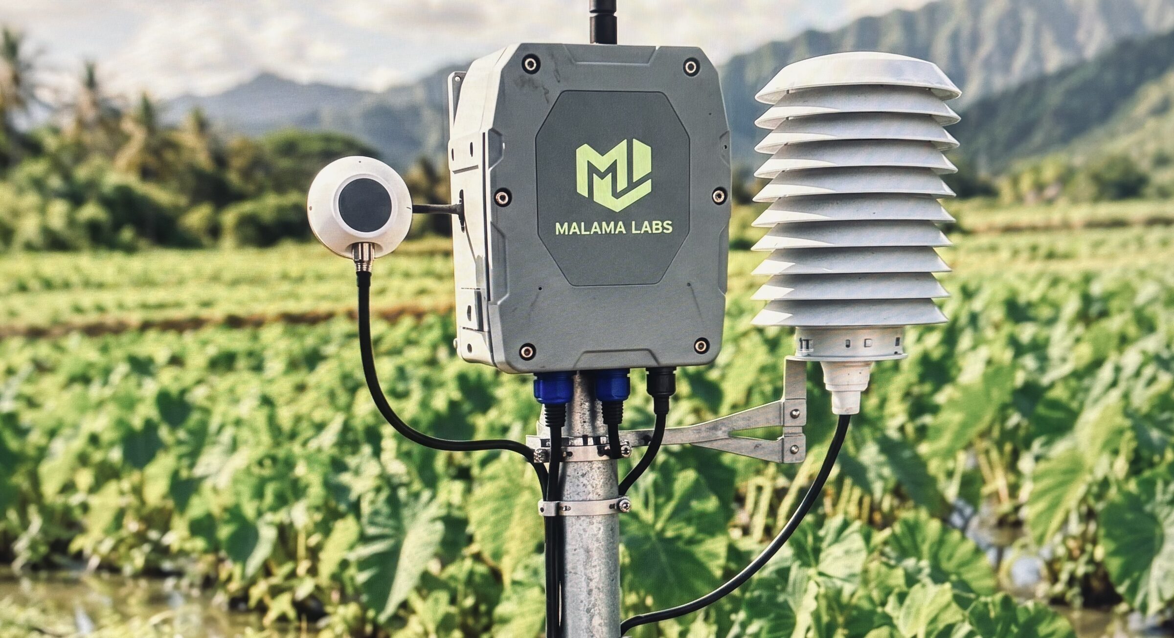 Mālama sensor hub deployed in a working taro field, Hawaiʻi